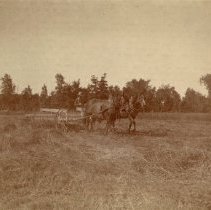 Omc1985.008.056 Image 600dpi